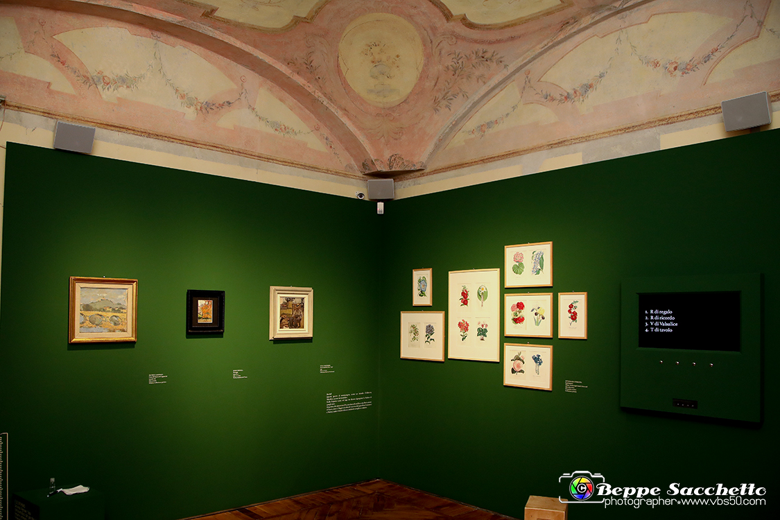 VBS_1336 - Castello di Miradolo - Mostra Oltre il giardino l'Abbecedario di paolo Pejrone.jpg